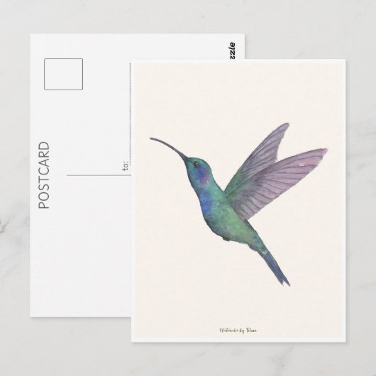 Hummingbird Watercolor ポストカード (正面/裏面)