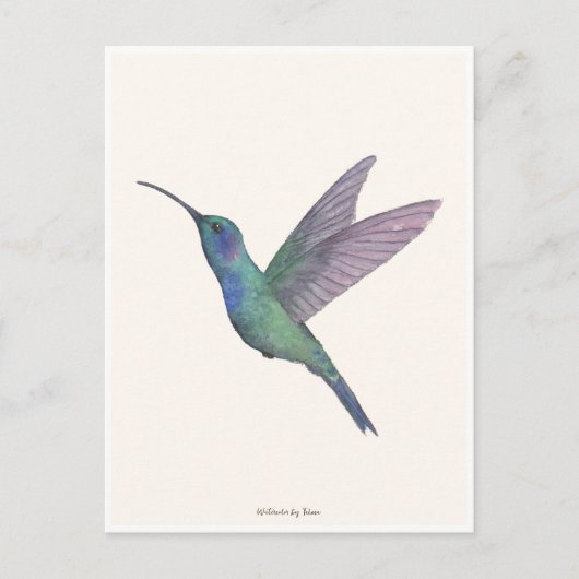 Hummingbird Watercolor ポストカード (正面)