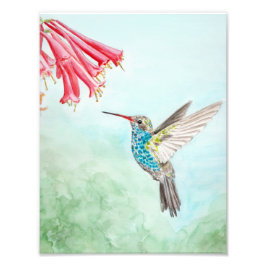 Hummingbird Watercolour print フォトプリント