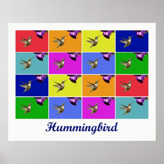 Hummingbird x16 （タイトル） ポスター (正面)