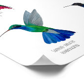 Hummingbirds  ポスター (角)