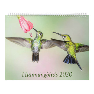 Hummingbirds 2020美しいフォトカレンダー カレンダー