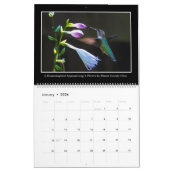 Hummingbirds 2026 Monthly Calendar By Tom Minutolo カレンダー (1月 2026)