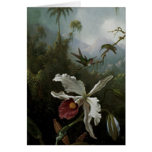 Hummingbirds and White Orchid by Martin J. Heade (正面)