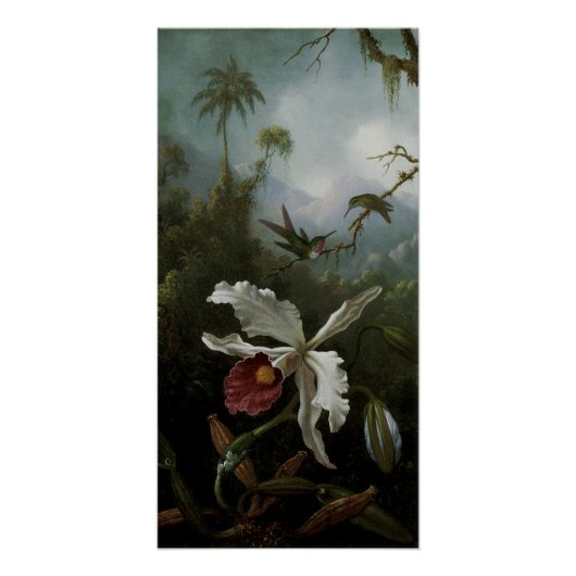 Hummingbirds and White Orchid by Martin J. Heade ポスター (正面)