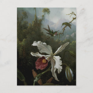 Hummingbirds and White Orchid by Martin J. Heade ポストカード