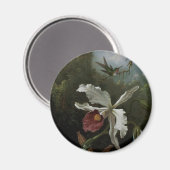 Hummingbirds and White Orchid by Martin J. Heade マグネット (正面/裏面)