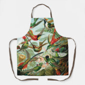 Hummingbirds by Ernst Haeckel   エプロン (正面)