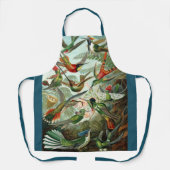 Hummingbirds by Ernst Haeckel, Birds Trees エプロン (正面)