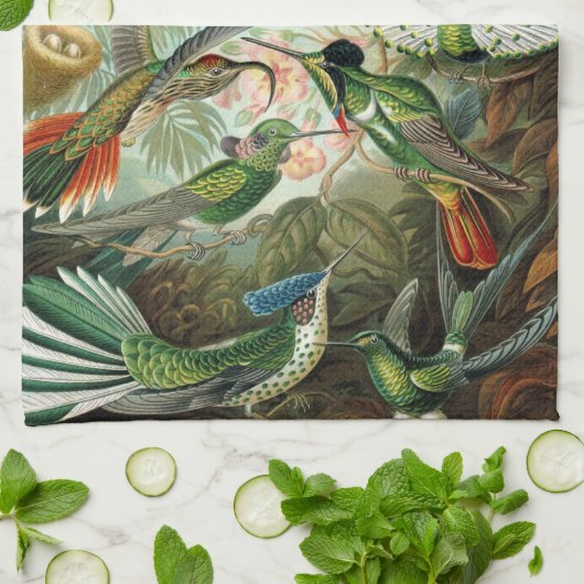 Hummingbirds by Ernst Haeckel, Birds Trees キッチンタオル (折り畳み)