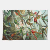 Hummingbirds by Ernst Haeckel, Birds Trees キッチンタオル (横)