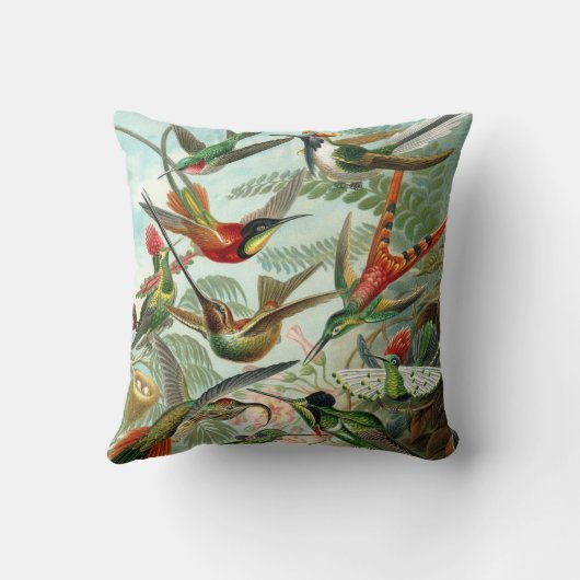 Hummingbirds by Ernst Haeckel, Birds Trees クッション (裏面)