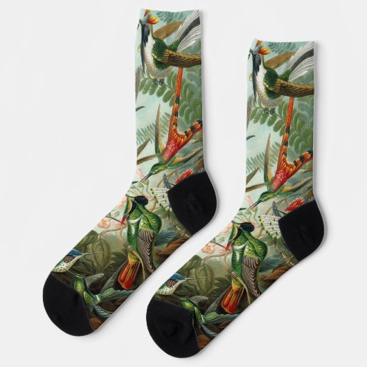 Hummingbirds by Ernst Haeckel, Birds Trees ソックス (左)