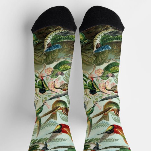 Hummingbirds by Ernst Haeckel, Birds Trees ソックス (上部)