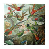 Hummingbirds by Ernst Haeckel, Birds Trees タイル (正面)