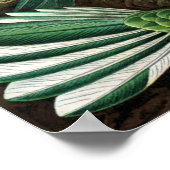 Hummingbirds by Ernst Haeckel, Birds Trees ポスター (角)