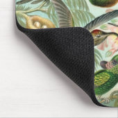 Hummingbirds by Ernst Haeckel, Birds Trees マウスパッド (コーナー)