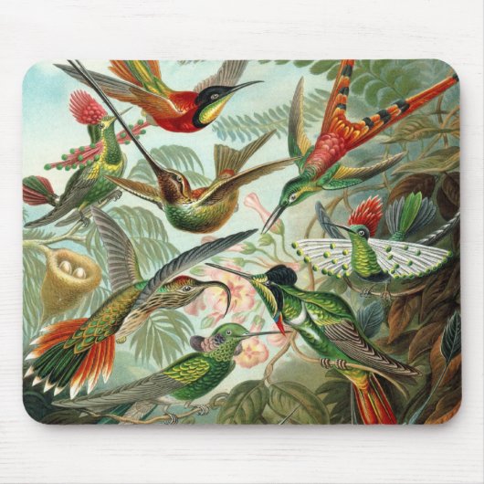 Hummingbirds by Ernst Haeckel, Birds Trees マウスパッド (正面)