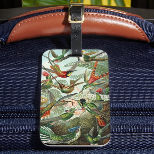 Hummingbirds by Ernst Haeckel, Birds Trees ラゲッジタグ (正面インサイチュ2)