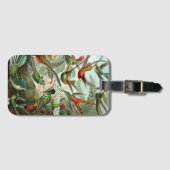 Hummingbirds by Ernst Haeckel, Birds Trees ラゲッジタグ (正面横)