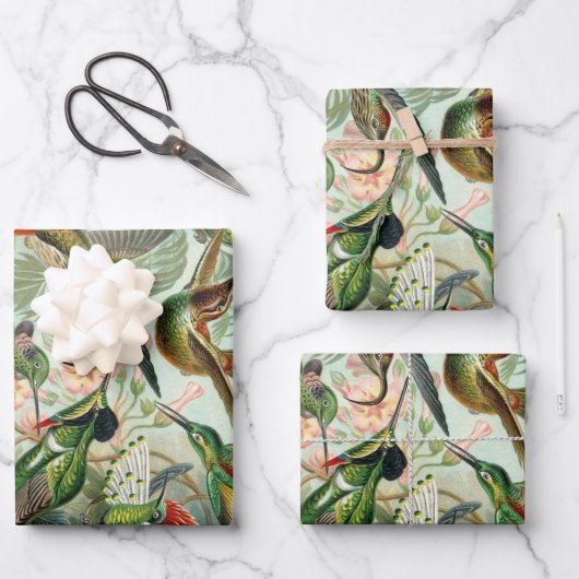Hummingbirds by Ernst Haeckel, Birds Trees ラッピングペーパーシート (正面)
