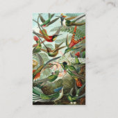 Hummingbirds by Ernst Haeckel, Birds Trees 名刺 (裏面)