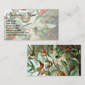 Hummingbirds by Ernst Haeckel, Birds Trees 名刺 (正面/裏面)
