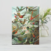 Hummingbirds by Ernst Haeckel, Birds Trees 招待状 (スタンド正面)
