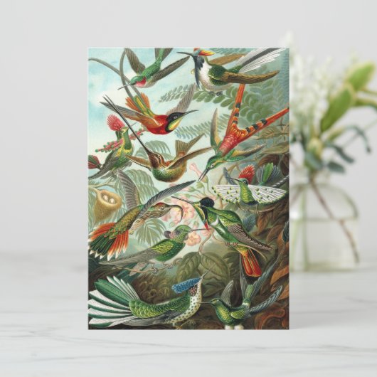 Hummingbirds by Ernst Haeckel, Birds Trees 招待状 (スタンド正面)