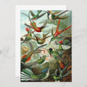 Hummingbirds by Ernst Haeckel, Birds Trees 招待状 (正面/裏面)