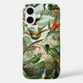 Hummingbirds by Ernst Haeckel, Birds Trees iPhone 16ケース