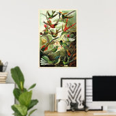 Hummingbirds Ernst Haeckel Vintage Illustration ポスター (ホームオフィス)