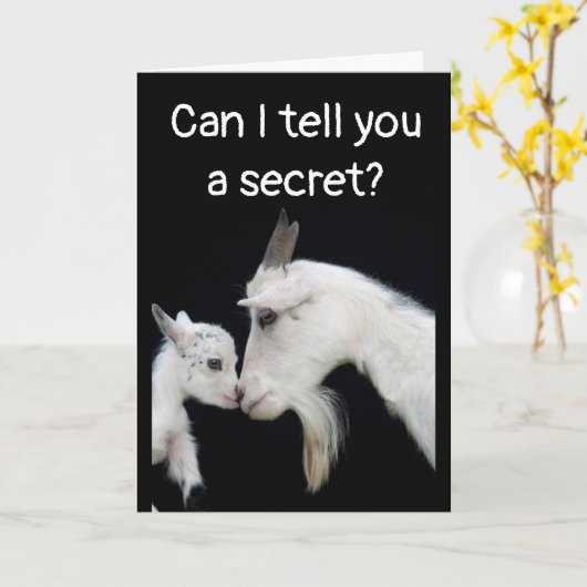 HUMOROUS "BELATED" BIRTHDAY NO BUTTS ABOUT IT! CAR カード (黄色い花)