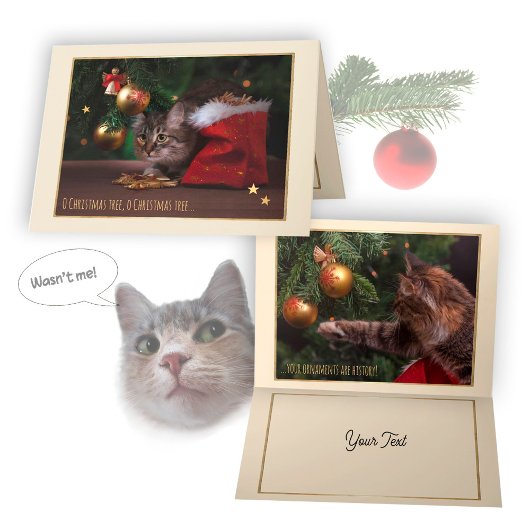 Humorous Christmas Cat Card シーズンカード