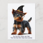 Humorous Customizable Any Occasion Postcard ポストカード (正面)