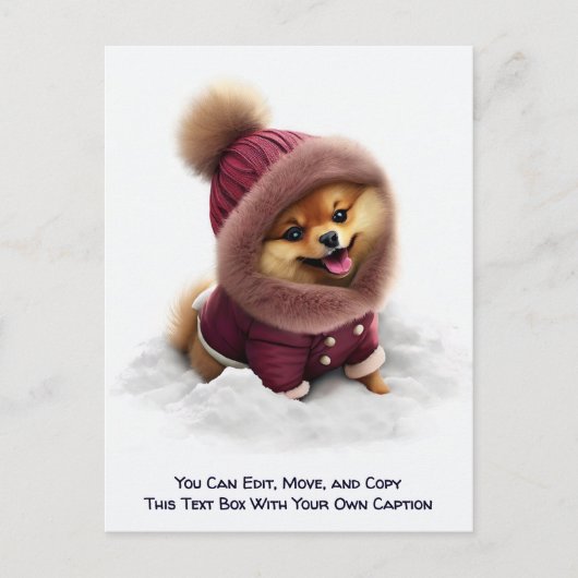 Humorous Customizable Any Occasion Postcard ポストカード (正面)