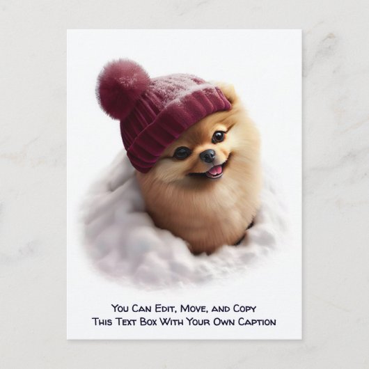 Humorous Customizable Any Occasion Postcard ポストカード (正面)
