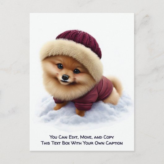 Humorous Customizable Any Occasion Postcard ポストカード (正面)