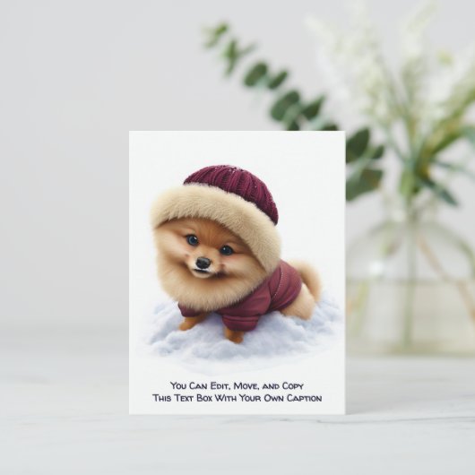 Humorous Customizable Any Occasion Postcard ポストカード (スタンド正面)