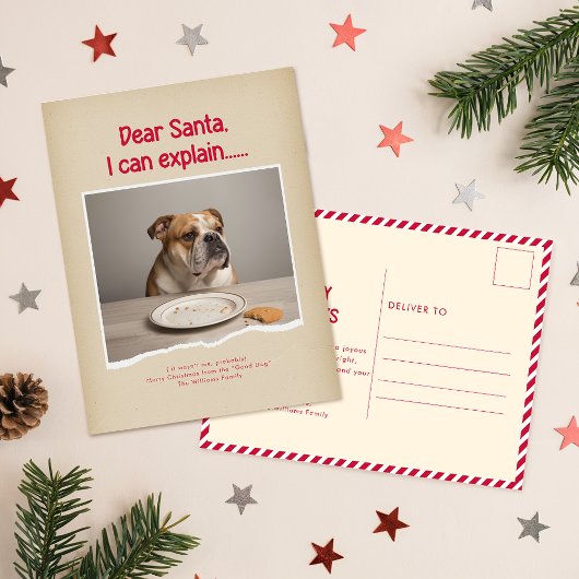 Humorous Funny Dog Pet Family Christmas Postcard ポストカード