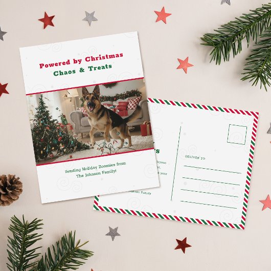 Humorous Funny Pet Dog Photo Christmas Postcard シーズンポストカード