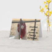 Humorous Old Adult Birthday カード (黄色い花)