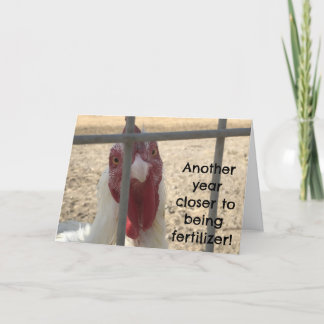 Humorous Old Adult Birthday カード