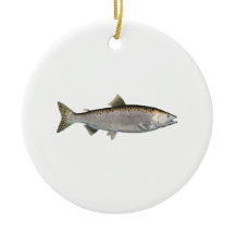 Humpbackのサケ(海段階)