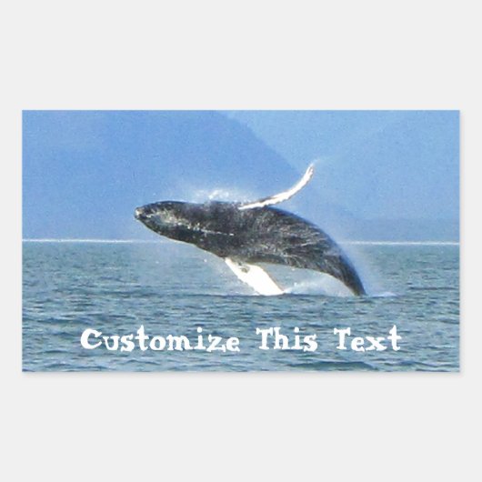 Humpback Acrobat;カスタマイズ可能 長方形シール (正面)