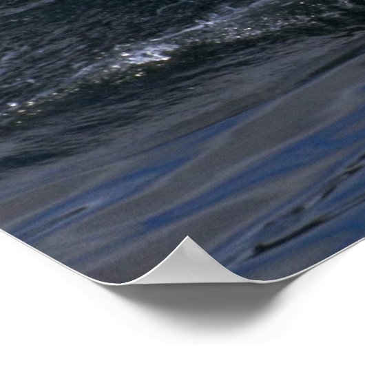 Humpback Whale Sounding (Tail Flukes) ポスター (角)