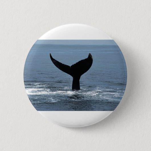 Humpback whale tail 缶バッジ (正面)