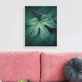 Humulusリーフ自然写真 キャンバスプリント (インサイチュ (リビング))