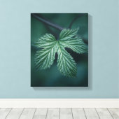 Humulusリーフ自然写真 キャンバスプリント (インサイチュ (ウッドフロア))