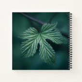 Humulus自然写真 ノートブック (裏面)